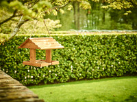Gardman_WBC_17