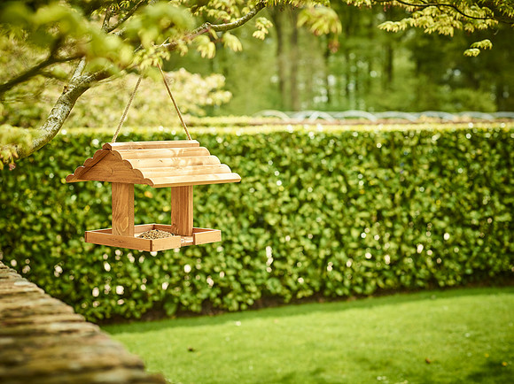 Gardman_WBC_17